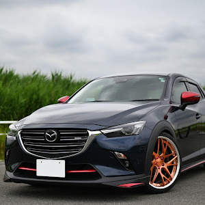 CX-3 DKEFW