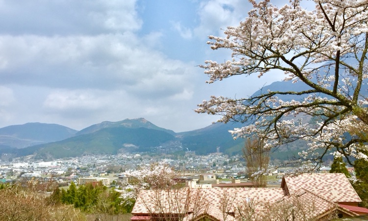 ロードスターの桜とコラボ・露天花見・締め桜・湯布院・風の山荘 山城に関するカスタム事例の投稿画像3枚目