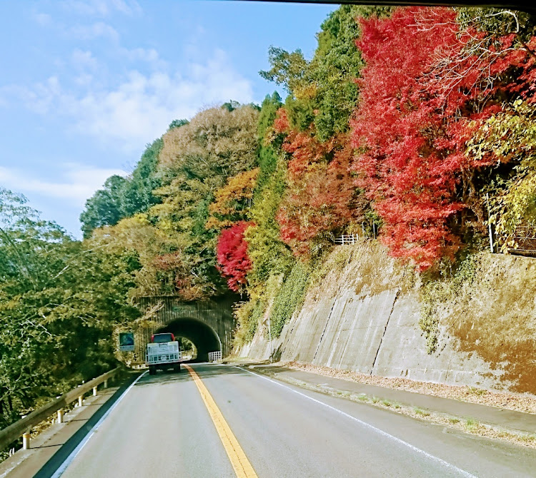 ワゴンRのコンビニ駐車場・紅葉シーズンに関するカスタム事例の投稿画像3枚目