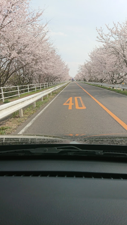 N-VANのたるたるさんが投稿したカスタム事例の投稿画像1枚目