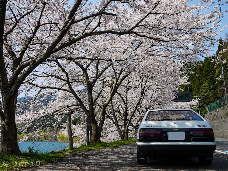 スプリンタートレノのAE86・ハチロク・頭文字D・藤原とうふ店・桜に関するカスタム事例の投稿画像2枚目