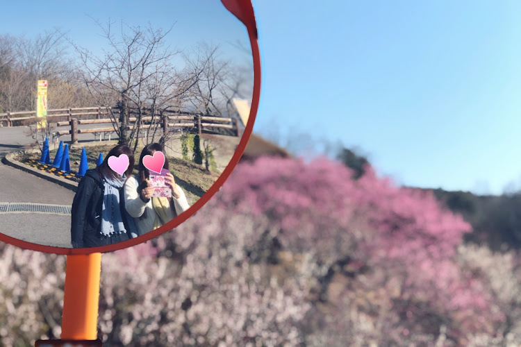 シビックタイプRの筑波山・朝日峠・筑波山神社・梅まつり・ソフトクリームに関するカスタム事例の投稿画像10枚目