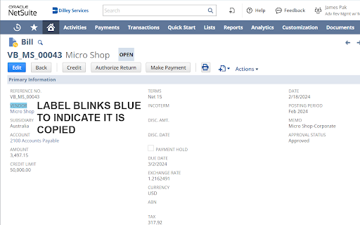 NetSuite Copy Field Internal IDs