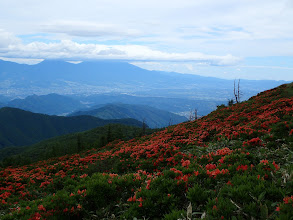 武石峰付近からレンゲツツジと浅間山（中央左）