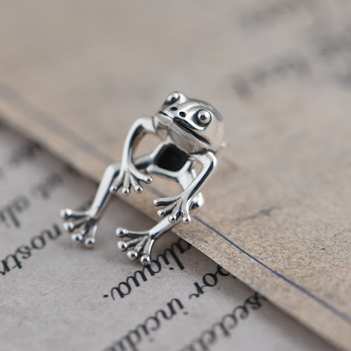 Title 10, Personalized Punk Frog Stud Earrings, Removable...