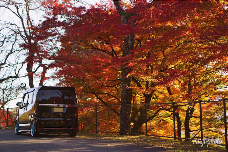 Nボックスカスタムの2020ベストショット・紅葉と愛車・紅葉・レオンハルトゲミュート・目指せPickUpCarsに関するカスタム事例の投稿画像3枚目