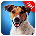 Baixar Dog Simulator 2017 - Pet Games Instalar Mais recente APK Downloader