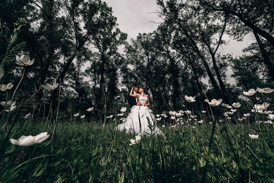 Wedding photographer Aleks Nikolas (alexnikolas). Photo of 27 June 2019