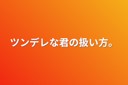 ツンデレな君の扱い方。