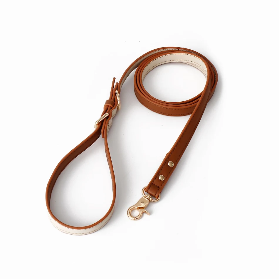 Gilet de mode avec laisse de traction pour promener votre chien. Contrôle et confort optimaux pour des promenades agréables et un dressage efficace.