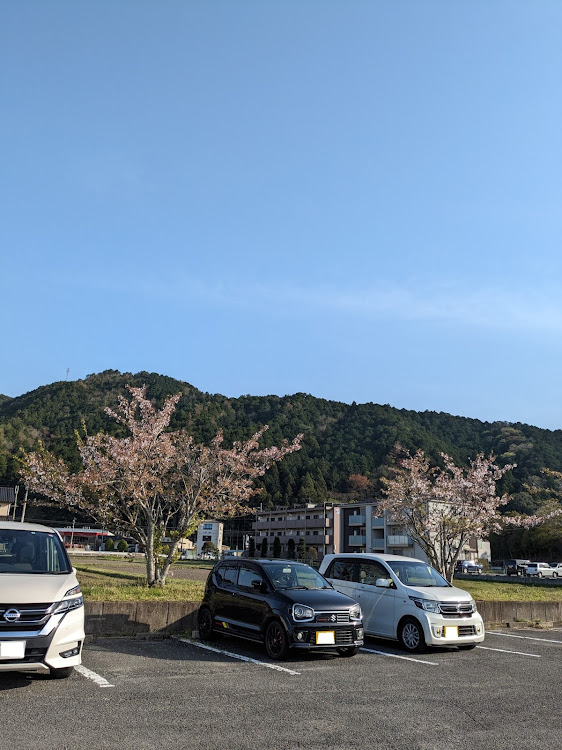 アルトワークスのサクラと愛車・いいね！をしてくれた人に感謝✨・4月もよろしくお願い致します🌸に関するカスタム事例の投稿画像1枚目