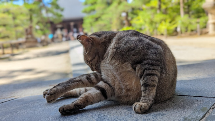 の投稿画像19枚目