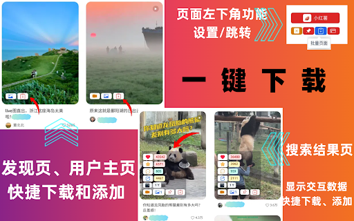 小红薯Pro-小红书视频/图片/评论下载助手