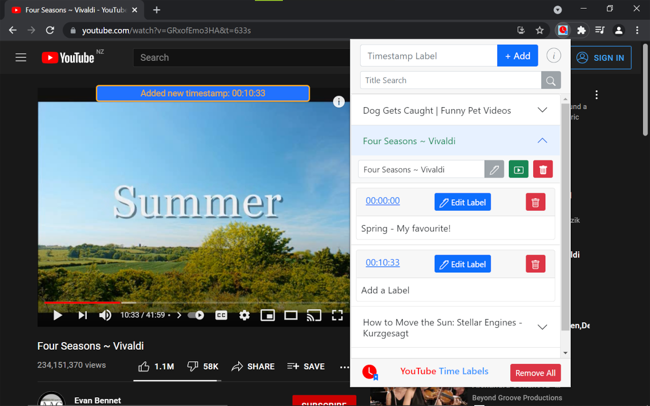 YouTube Time Labels Preview image 1