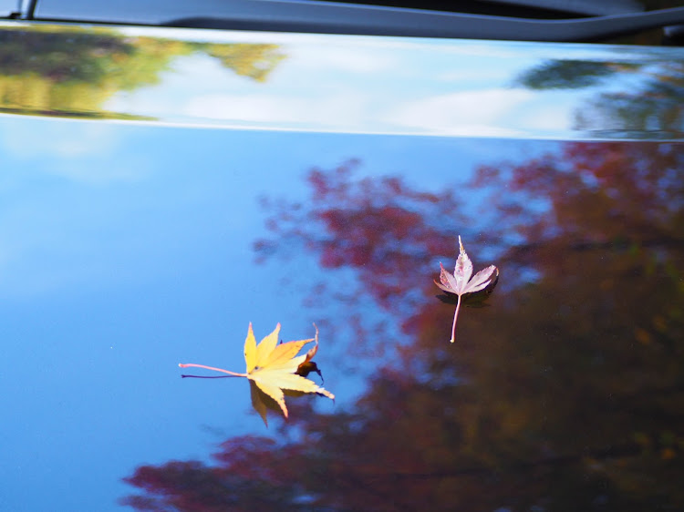 エスクァイアの紅葉と愛車・間に合った・加茂広域農道に関するカスタム事例の投稿画像4枚目
