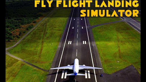Fly Flight Landing Simulator