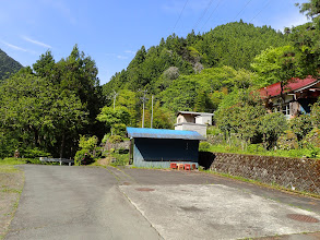 お寺手前で車道歩きに