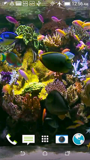 Aquarium Video Wallpaper