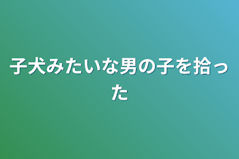 「子犬みたいな男の子を拾った」のメインビジュアル