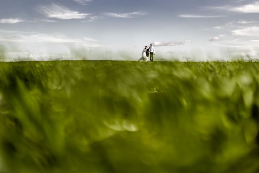 Photographe de mariage Donatas Ufo (donatasufo). Photo du 12 février 2020