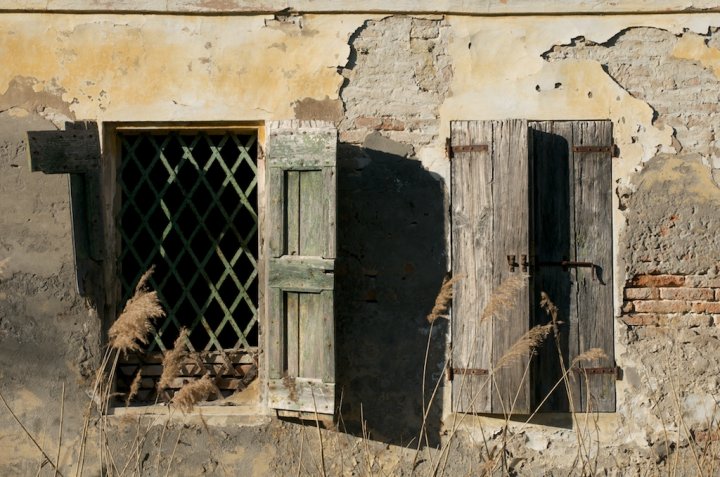 Uno sguardo dal passato di MicheleB