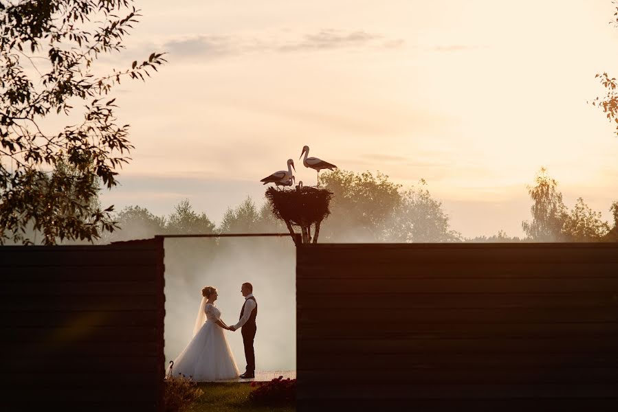 Fotógrafo de bodas Sergey Lomanov (svfotograf). Foto del 12 de septiembre 2017