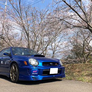 インプレッサ STI