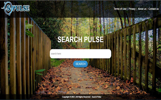 SEARCH PULSE