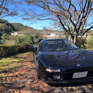 NSX NA1
