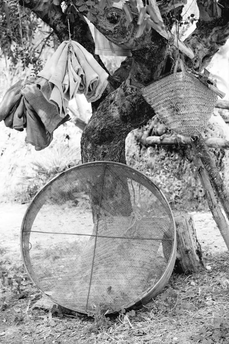 Settaccio per il grano di johana_dicarlo