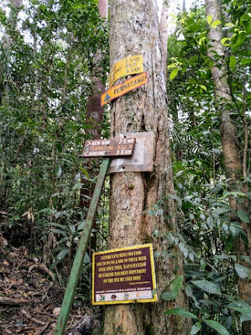 Mount Tahan Permatang