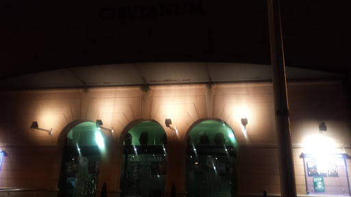 Teatre Cirvianum 