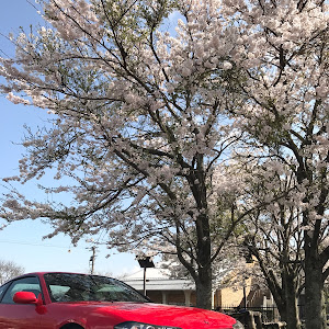 シルビア S15