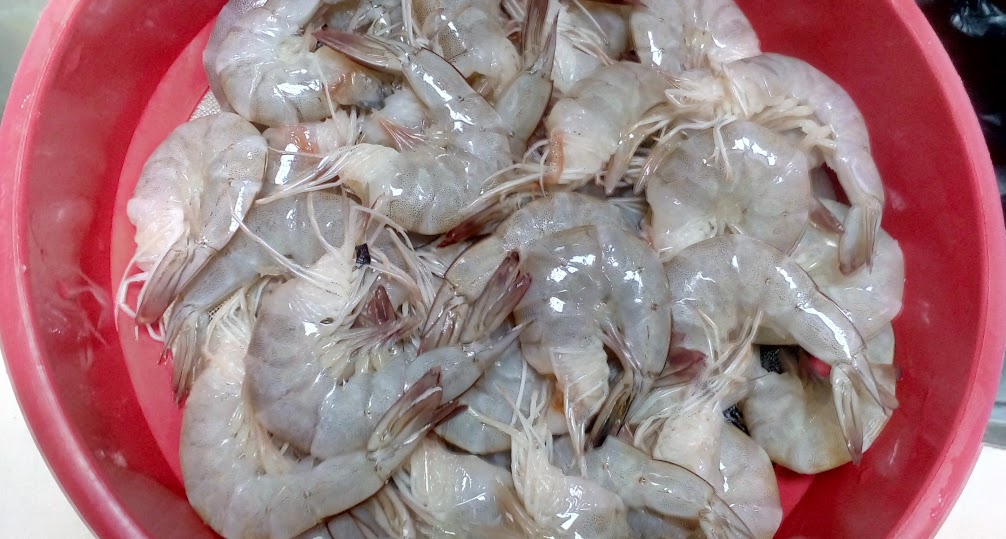 Udang segar