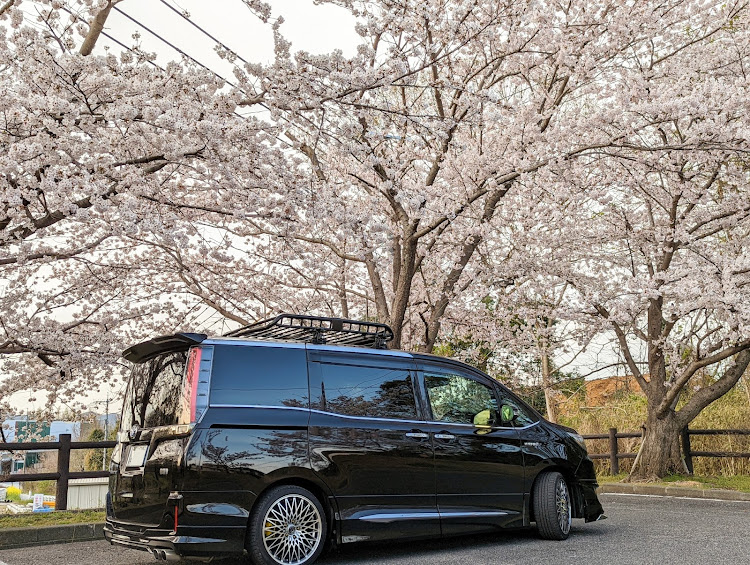 エスクァイアの桜とコラボ🌸・洗車したい！・春の訪れ・華の金曜日・週末の天気が気になるに関するカスタム事例の投稿画像3枚目