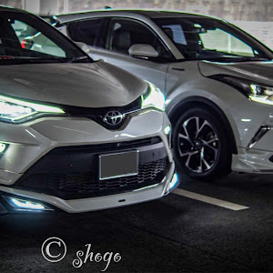 C-HR NGX50