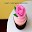 Best Cupcakes Recipes Download on Windows
