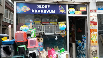 SEDEF AKVARYUM