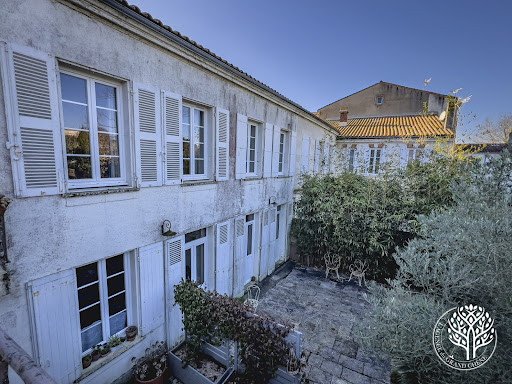 House with garden and terrace 5