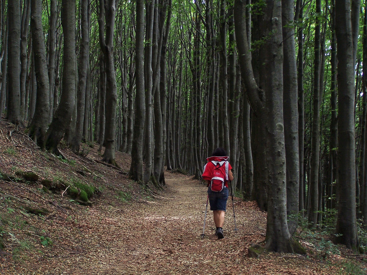 In Cammino di MauroV