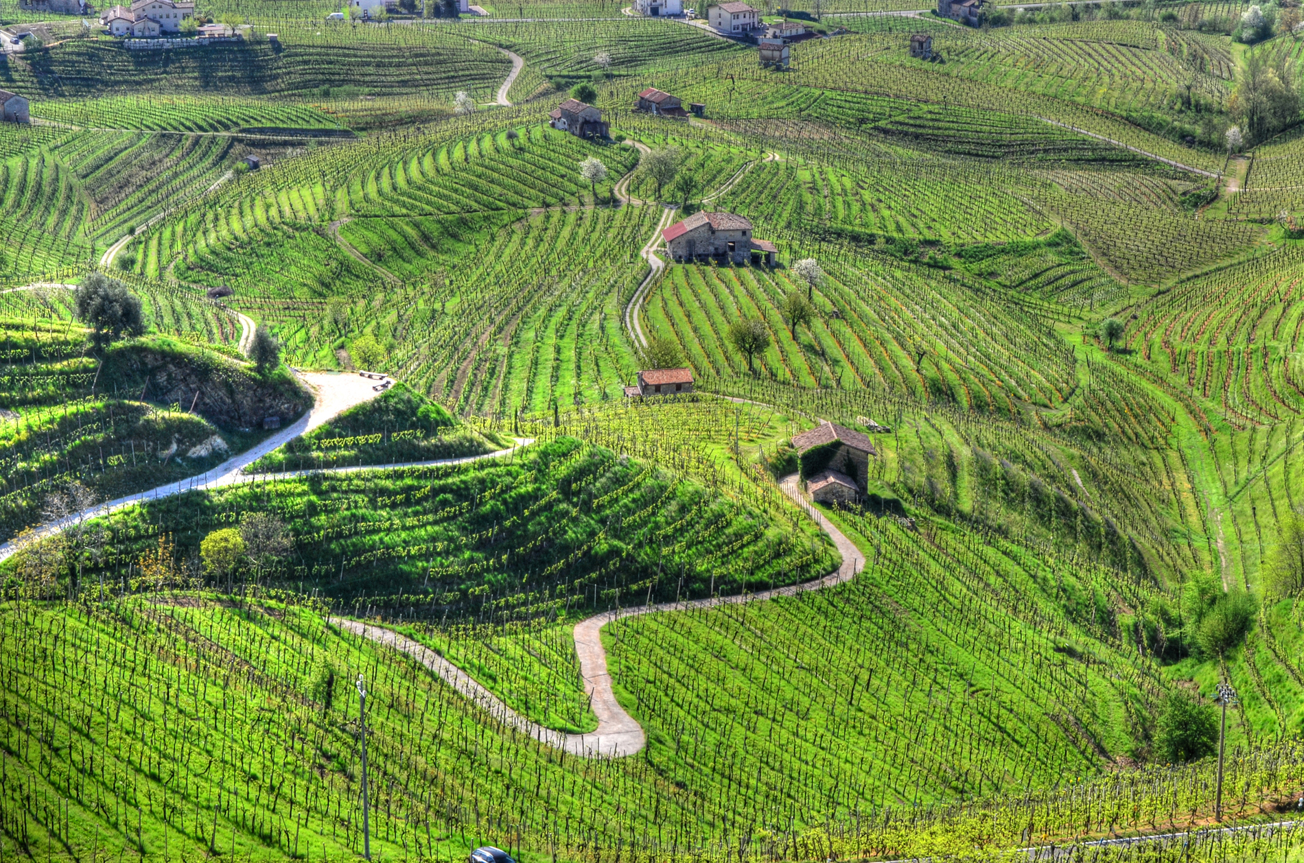 Volando...sulle colline del PROSECCO. di niro