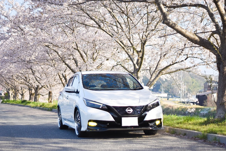 リーフのサクラと愛車・桜と愛車・頑張れ日産！に関するカスタム事例の投稿画像2枚目