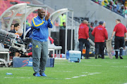 Mamelodi Sundowns coach Pitso Mosimane. Picture credits: Gallo Images