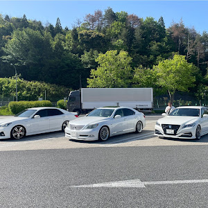 LS USF40