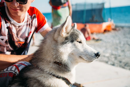 Kāzu fotogrāfs Olga Smorzhanyuk (olchatihiro). Fotogrāfija: 7. oktobris 2016