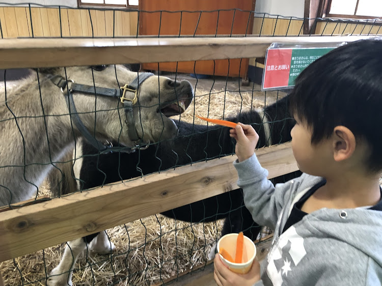 ヴェルファイアの旅行・温泉・小岩井農場に関するカスタム事例の投稿画像9枚目