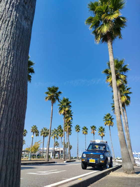 パジェロミニのパジェロミニのある生活・夏の思い出…・お気に入りの場所・ヤシの木🌴・愛媛散歩に関するカスタム事例の投稿画像2枚目