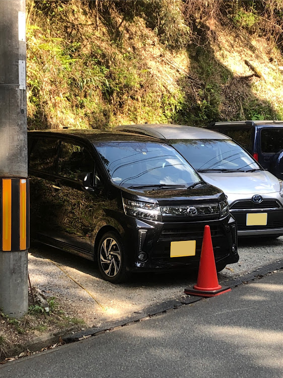 ムーヴカスタムのブロワー購入・桜・奈良県・吉野桜・春の交通安全週間に関するカスタム事例の投稿画像1枚目