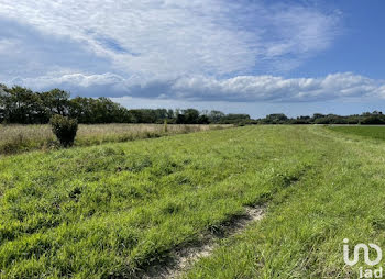 terrain à Réville (50)