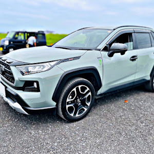 RAV4 MXAA54